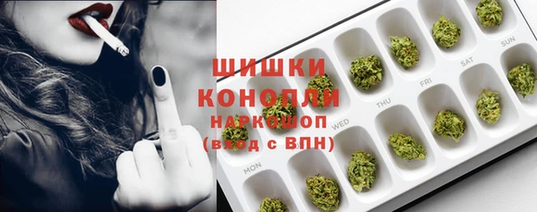 Альфа ПВП Верея