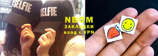 Альфа ПВП Верея