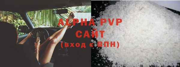 Альфа ПВП Верея