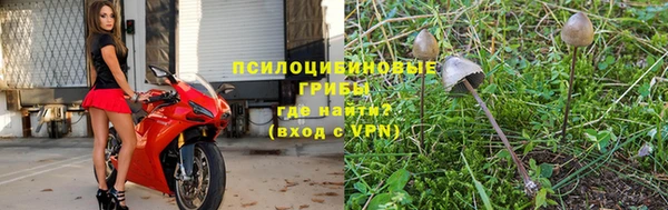 Альфа ПВП Верея