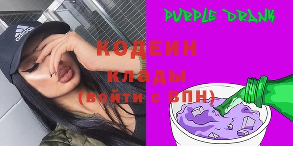 Альфа ПВП Верея